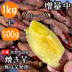 鹿児島県産 熟成さつまいも 焼き芋 1.5kg(500g×3袋) 【小さめのお芋がたっぷり】無添加 蜜芋  さつまいも 干し芋 好きに 訳あり 美味しい クール便