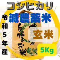 新発売記念で特売中】令和５年産 ◇玄米 千葉県産 コシヒカリ 減農薬米です