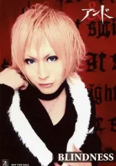 【中古】生写真(男性) アンド/PECO/バストアップ・衣装黒白・右手頬・背景赤/CD「BLINDNESS」ZEAL LINK特典アーティスト生写真