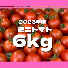 ミニトマト　6キロ　野菜　熊本　おやつ　弁当　おかず　ミネラル　リコピン
