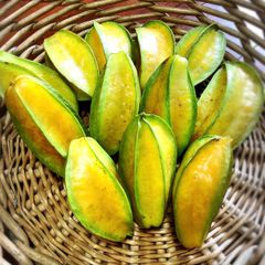 沖縄県産❣️ スターフルーツ❣️1.5kg  ⭐︎お星様の果物⭐︎