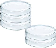 Item thumbnail for item 8a24d293-b599-4509-bda7-16eecc1f8e5c