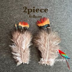 ❤️【SS7】2枚セット 羽根 フェザー 鳥 パーツ 材料 アクセサリー 素材