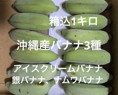 数量限定！沖縄産バナナ3種  アイスクリームバナナ、銀バナナ、ナムワバナナ