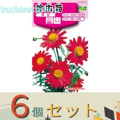 【園芸・農業用品】※６個セット※カネコ種苗　タネ　除虫菊　赤花