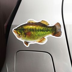 送料無料　ブラックバス　マグネット　シート　Black bass「ブラックバス　マグネットシート」（約１４５ｍｍ×約２６２ｍｍ）２０㎝オーバー！！！※２枚セット販売🎵
