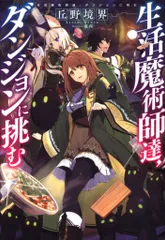【ライトノベル】生活魔術師達シリーズ Amazon.co.jp: 生活魔術師達、大聖堂に挑む 電子書籍: 丘野境界