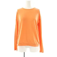 ザノースフェイス THE NORTH FACE NTW32388 Tシャツ 長袖 ロングスリーブネイチャー カットソー M オレンジ /NR ■OS