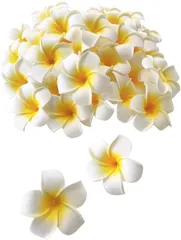 【新着商品】ハンドメイド DIY用品 花のみ 飾りつけ 装飾 造花 アクセサリー プルメリア ホワイト 4cm Xiangdingg 30個