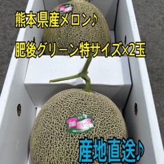 産地直送　熊本県産　肥後グリーン　メロン　特サイズ×2玉　秀品