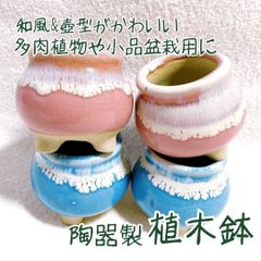 【お得セット　陶器植木鉢4点】　多肉植物・小品盆栽用に　和風テイストの壺型植木鉢　桃色と水色が綺麗　　寄せ植え　山野草　小品盆栽　苔盆栽　盆栽鉢　陶器鉢　和風鉢　ガーデニング雑貨　Small bonsai pot　Succulent plant pot