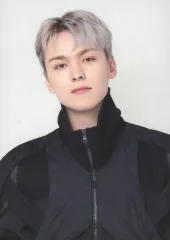 【中古】コレクションカード(男性) 116：SEVENTEEN/VERNON(バーノン)/「SEVENTEEN TOUR ’FOLLOW’ TO JAPAN」ZIP-UP HOODIE フォトカード