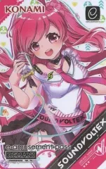 SOUNDVOLTEX e-amusement pass レイシス グレイス サウンド