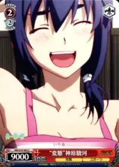 2025年最新】偽物語 ヴァイスの人気アイテム - メルカリ