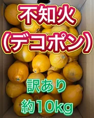 2025年最新】デコポン 訳あり 10kgの人気アイテム - メルカリ