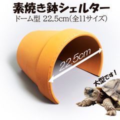 【素焼き鉢 シェルタードーム型 22.5cm】爬虫類　両生類　 熱帯魚　トカゲ　カメ　カエル　アクアリウム　テラリウム　テラコッタ　植木鉢　安い　隠れ家　保湿　リクガメ　小動物