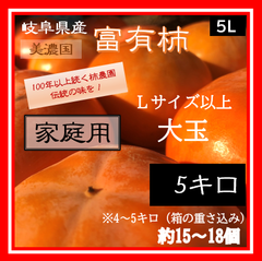 5L【家庭用 大玉　5キロ】(Lサイズ以上15~18個)岐阜県産富有柿　柿農園直送　NO1