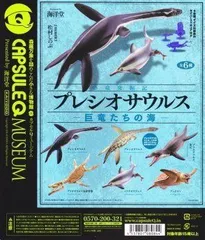 2025年最新】カプセルQ プレシオサウルスの人気アイテム - メルカリ