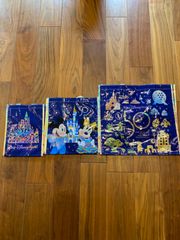 WDW50周年 EARIDESCENT コレクション スピリットジャージ - メルカリ