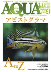 2024年最新】アピストグラマの人気アイテム - メルカリ