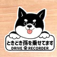 ときどき孫を乗せてます.ドライブレコーダー【黒柴.ボード】マグネットタイプ/シールタイプ/吸盤タイプ