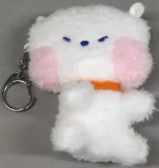 【中古】ぬいぐるみマスコット・ぬいぐるみバッジ RJ(ジン) minini PLUSH キーリング 「BT21」