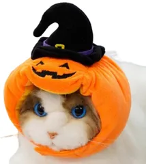 コスプレ ペット帽子 イヌ ネコ キャップ ハロウィン コミケ クリスマス イベント パーティー 仮装 発表会 