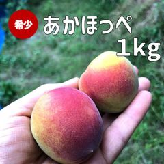 超希少　あかほっぺ【紀州南高梅】1㎏