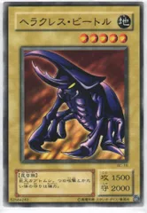 2025年最新】ヘラクレスビートルの人気アイテム - メルカリ