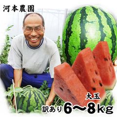 早期クーポンで10%OFF☆6月中下旬発送予定☆スイカ大玉1玉6-8kg程度(訳あり)鳥取県北栄町産(旧大栄町)農家指定果物すいか西瓜