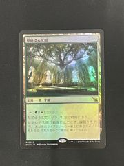 【MTG・土地】草萌ゆる玄関(日本語FOIL)