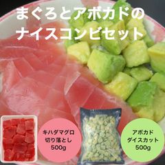⑤まぐろとアボカドのナイスコンビセット 天然まぐろ切り落とし500g アボカドダイスカット500g