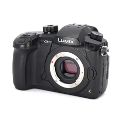 美品 撮影2777枚 DC- GH5S LUMIX G ケージ・バッテリー3個付 美品 撮影2777枚 DC- GH5S LUMIX G ケージ・バッテリー3個付 美品
