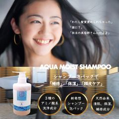 AQUA BEAUTY LABO  アクア・モイストシャンプー　400mLパウチ