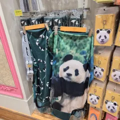 2025年最新】Fubaoの人気アイテム - メルカリ