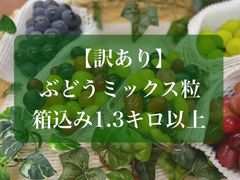 【終了】家庭用ぶどうミックス粒(箱込み1.3キロ以上)