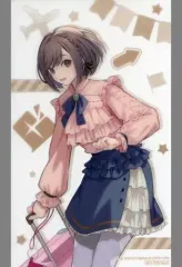 【中古】キャラカード 東雲絵名 クリアシート 「プロジェクトセカイ カラフルステージ! feat. 初音ミク 3rd Anniversary 感謝祭 記念フェア in アニメイト」 対象商品購入特典