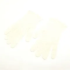 2025年最新】Foxey 手袋・アームカバーの人気アイテム - メルカリ