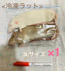2025年最新】冷凍ラットの人気アイテム - メルカリ