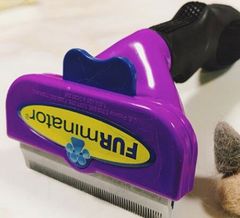 Item thumbnail for item db8dd613-7876-4c4f-8867-b6e9bd44be9f