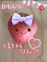 りんご山形県天童産サンふじ小玉chan6kg