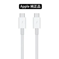 アップル純正 Apple Thunderbolt 3（USB-C）ケーブル（0.8 m） MQ4H2FE/A 国内純正品