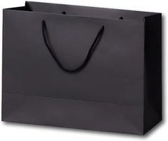 Item thumbnail for item 22c741da-c0d7-4fe2-950e-cfdf3d3f13d2