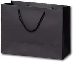 ENN LLC ギフトバッグ 紙袋 手提げ 無地 10枚セット(ブラック,  L)