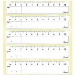 Item thumbnail for item 66b25a9a-10a7-444d-b317-6e737863bc4b