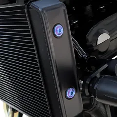 Z900RS ラジエーターサイドカバー　フェンダーアーム　ヒールガード　セット ☆大人気商品☆ Z900RS ラジエーターサイドカバー ヒール