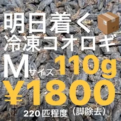 明日着く！発送早い！冷凍コオロギ　110g Mサイズ（脚除去済）のサムネイル
