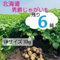 北海道産　じゃがいも　10キロ