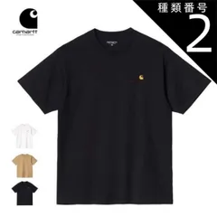 種類2：WHITE/M カーハート WIP tシャツ carhartt WIP (I029956 S/S AMERICAN SCRIPT T-SHIRT TEE メンズ 半袖 ワークインプログレス [220527]