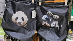 2025年最新】Fubaoの人気アイテム - メルカリ